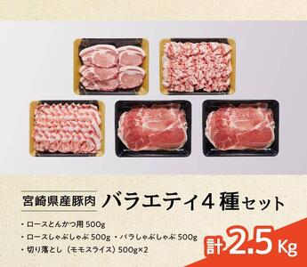 豚肉 【3ヶ月定期便】宮崎県産 豚肉 バラエティ 4種 セット 2.5kg 国産豚肉 九州産豚肉 小分け豚肉 セット豚肉
