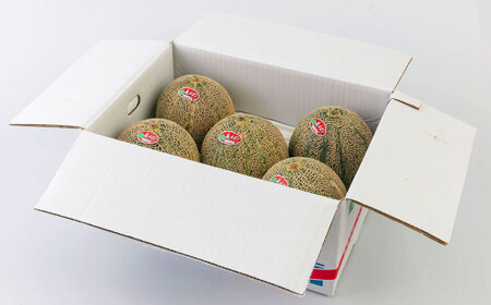 【2026年6月中旬以降順次発送】【数量限定】 壱岐産 アムスメロン 4〜6玉（5kg～6kg前後） 《壱岐市》【壱岐市農業協同組合】[JBO017] 