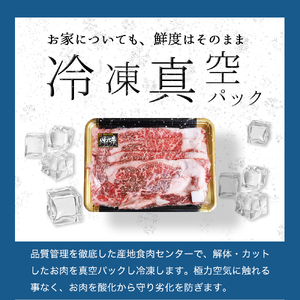 いわて牛 ローススライス 1,000g (DV075) スライス