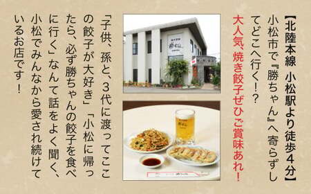 《餃子菜館 勝ちゃん》1万円分お食事券 (1000円×10枚） お食事券 石川県 小松市