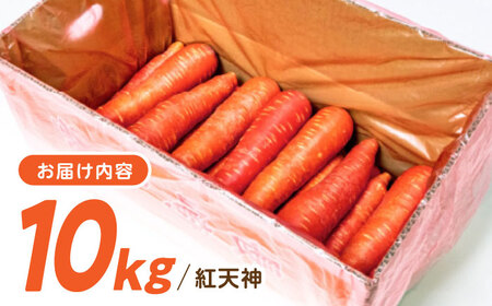 真っ赤なにんじん「紅天神」10kg AHCU002 にんじん