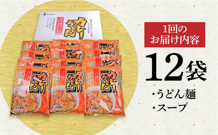 【第6回定期便】 スープカレーうどん (12食入り) [VAI072]うどん カレー 麺