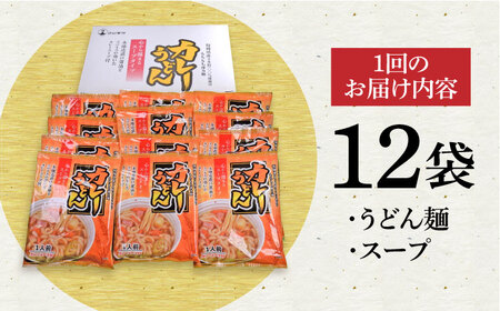 【第12回定期便】 スープカレーうどん (12食入り) [VAI073]うどん カレー 麺
