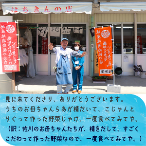 【ふるさと納税】＜年4回 定期便はちきんの店 野菜 セット 7~10品＞ 野菜詰め合わせ 詰合せ 高知の野菜 旬の野菜【冷蔵】高知県 佐川町
