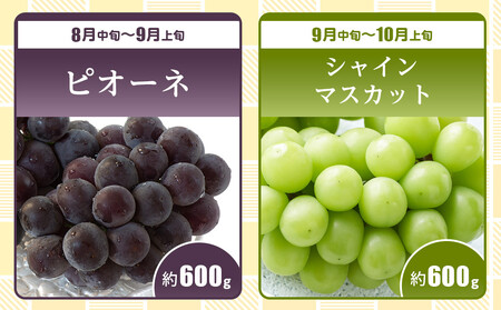 【全10回】さぬき市厳選フルーツ定期便