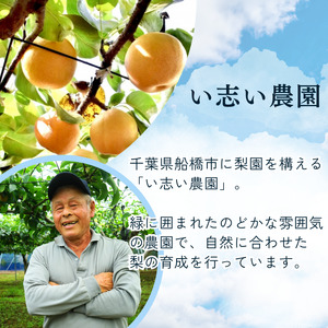 【2026年産】船橋のなし「幸水」（い志い農園）