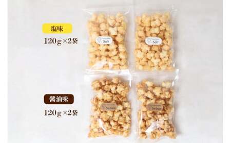 天日干し 揚げおかき 醤油 塩 2種セット ×2 【三代目　伊勢屋】【ho1401】