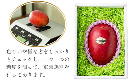 ＜先行予約＞宮崎完熟マンゴー スライス カット 400g×2パック 計800g（2Lサイズ約３～４個分）_K005-001