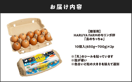 【 贈答 用 】 HARUYA FARM の モリンガ卵 「 島のちっちゅ 」 W065-001-01 鶏 卵