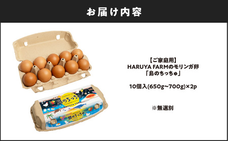 【 ご家庭用 】 HARUYA FARM の モリンガ卵 「 島のちっちゅ 」 W065-001-02 鶏 卵