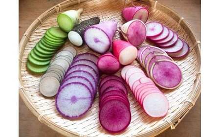 6ヶ月 定期便 四元豚 厳選カット肉 と 季節のうるおい野菜セット GIFTON ギフトン お歳暮 ギフト 豚肉 野菜 ｾｯﾄ 豚肉 焼肉 岩手県 北上市 ごえん O0038 全6回 豚肉定期便 野菜定期便