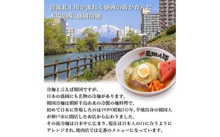 具材付き！ 【やまなか家】 本場盛岡冷麺詰合せ 6食分 岩手県 北上市 D0074（KYフーズ） 盛岡 冷麺 キムチ 