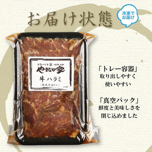 ハラミ 旨みたっぷり牛ハラミ 600g D0500