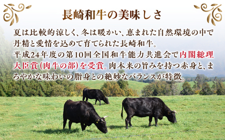 長崎和牛 サーロインステーキ 約200g×2枚 牛肉[RCJ003] 長崎和牛 サーロイン ステーキ 長崎和牛 サーロイン ステーキ九州 長崎