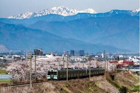 おまかせ野菜セット 2?3人分 約 5kg | 野菜 やさい 旬 の 野菜 長野県 塩尻市