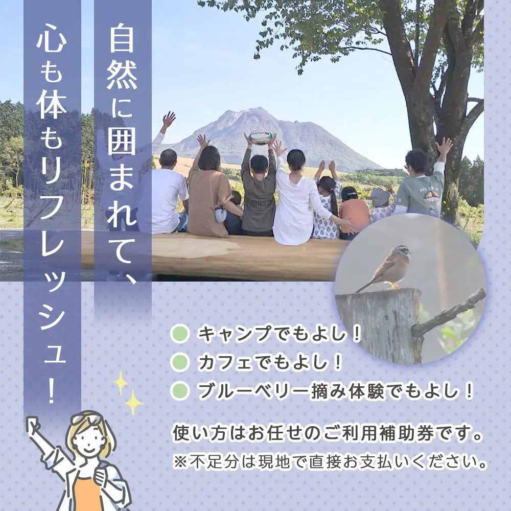 【湯布院 熊谷牧場・雛戸】施設内なんでも使える！ブルーベリー・キャンプガーデン ご利用補助券 6,000円分