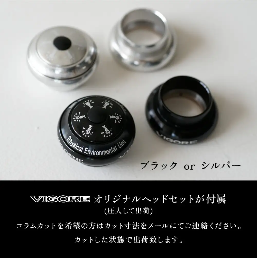 【VIGORE】ラグ付きハンドメイド ロードバイク「70next」(フレーム＆フォーク）［ 京都 ロードバイク 自転車 ブランド 人気 おすすめ スポーツ アウトドア ツーリング ブランド メーカー 取り寄せ 通販 ふるさと納税 ］