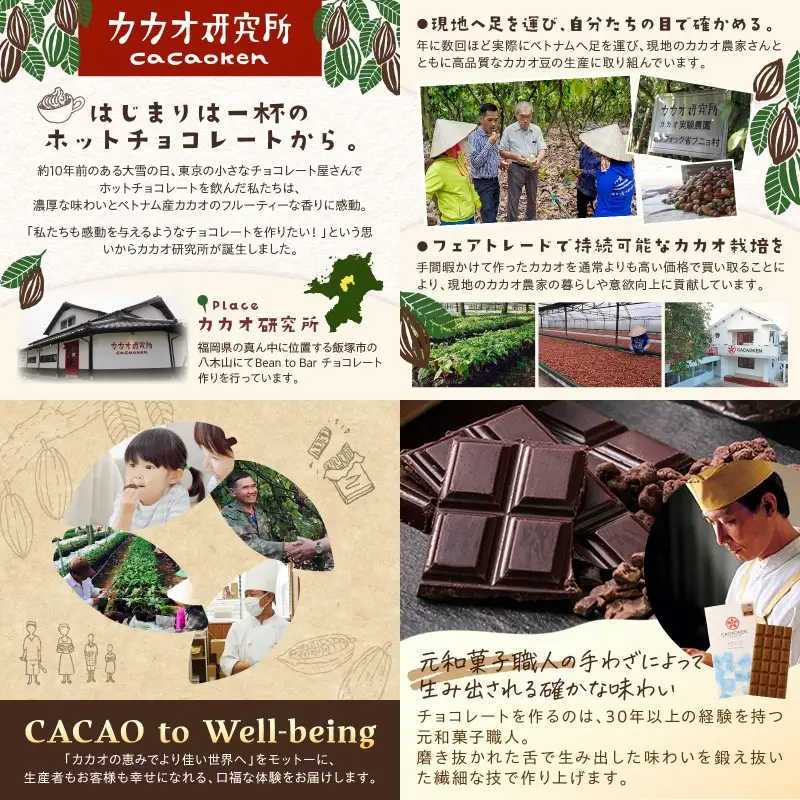 カカオ研究所のチョコレートセット(13枚)【E-089】