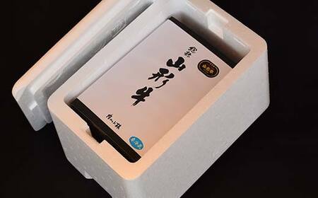 山形牛A-5ランクの「シャトーブリアン」金塊ブロック450g F2Y-4689