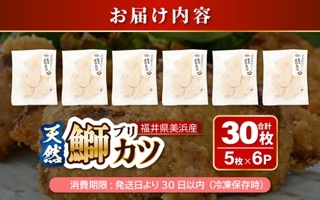 天然！美浜町産「日向ぶり」 ぶりカツ 約900g（約150g × 6袋）【ブランド ぶり ブリ 鰤 海鮮 海産物 魚介類 ブリカツ カツレツ 人気 惣菜 おかず おつまみ 国産 福井 冷凍 揚げ物 フライ 簡単調理】 [m36-a038]