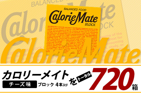 【12回定期便】≪チーズ味≫ カロリーメイトブロック 4本入り 計60箱 ×12回 合計720箱【定期便 徳島 那賀 大塚製薬 カロリーメイト チーズ ビタミン ミネラル たんぱく質 脂質 糖質 5大栄養素 バランス栄養食 栄養補給 仕事 勉強 スポーツ 防災 災害 地震 非常食 常備食 備蓄 受験 受験応援 新生活】MS-3-12-cheese