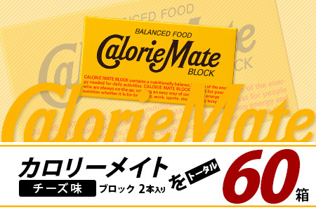 【3回定期便】≪チーズ味≫ カロリーメイトブロック 2本入り 計20箱 ×3回 合計60箱【定期便 徳島 那賀 大塚製薬 カロリーメイト チーズ ビタミン ミネラル たんぱく質 脂質 糖質 5大栄養素 バランス栄養食 栄養補給 仕事 勉強 スポーツ 防災 災害 地震 非常食 常備食 備蓄 受験 受験応援 新生活】MS-5-3-cheese