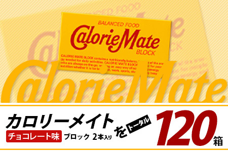 【6回定期便】≪チョコレート味≫ カロリーメイトブロック 2本入り 計20箱 ×6回 合計120箱【定期便 徳島 那賀 大塚製薬 カロリーメイト チョコ ビタミン ミネラル たんぱく質 脂質 糖質 5大栄養素 バランス栄養食 栄養補給 仕事 勉強 スポーツ 防災 災害 地震 非常食 常備食 備蓄 受験 受験応援 新生活】MS-5-6-choco