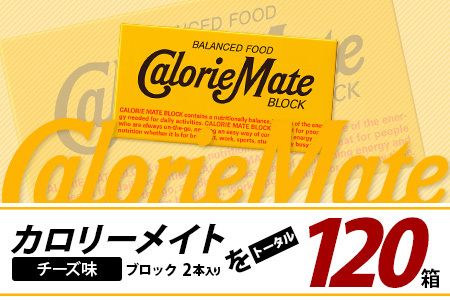 【6回定期便】≪チーズ味≫ カロリーメイトブロック 2本入り 計20箱 ×6回 合計120箱【定期便 徳島 那賀 大塚製薬 カロリーメイト チーズ ビタミン ミネラル たんぱく質 脂質 糖質 5大栄養素 バランス栄養食 栄養補給 仕事 勉強 スポーツ 防災 災害 地震 非常食 常備食 備蓄 受験 受験応援 新生活】MS-5-6-cheese