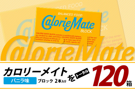 【6回定期便】≪バニラ味≫ カロリーメイトブロック 2本入り 計20箱 ×6回 合計120箱【定期便 徳島 那賀 大塚製薬 カロリーメイト バニラ ビタミン ミネラル たんぱく質 脂質 糖質 5大栄養素 バランス栄養食 栄養補給 仕事 勉強 スポーツ 防災 災害 地震 非常食 常備食 備蓄 受験 受験応援 新生活】MS-5-6-vanilla