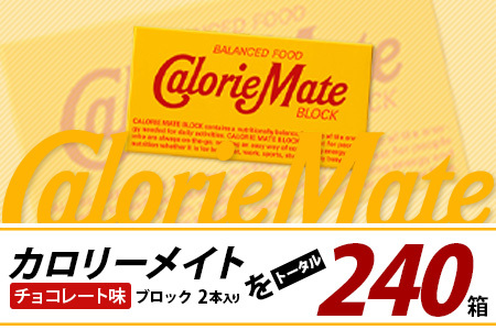 【12回定期便】≪チョコレート味≫ カロリーメイトブロック 2本入り 計20箱 ×12回 合計240箱【定期便 徳島 那賀 大塚製薬 カロリーメイト チョコ ビタミン ミネラル たんぱく質 脂質 糖質 5大栄養素 バランス栄養食 栄養補給 仕事 勉強 スポーツ 防災 災害 地震 非常食 常備食 備蓄 受験 受験応援 新生活】MS-5-12-choco