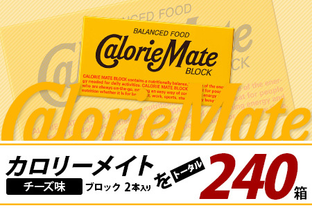【12回定期便】≪チーズ味≫ カロリーメイトブロック 2本入り 計20箱 ×12回 合計240箱【定期便 徳島 那賀 大塚製薬 カロリーメイト チーズ ビタミン ミネラル たんぱく質 脂質 糖質 5大栄養素 バランス栄養食 栄養補給 仕事 勉強 スポーツ 防災 災害 地震 非常食 常備食 備蓄 受験 受験応援 新生活】MS-5-12-cheese