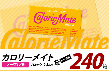 【12回定期便】≪メープル味≫ カロリーメイトブロック 2本入り 計20箱 ×12回 合計240箱【定期便 徳島 那賀 大塚製薬 カロリーメイト メープル ビタミン ミネラル たんぱく質 脂質 糖質 5大栄養素 バランス栄養食 栄養補給 仕事 勉強 スポーツ 防災 災害 地震 非常食 常備食 備蓄 受験 受験応援 新生活】MS-5-12-maple