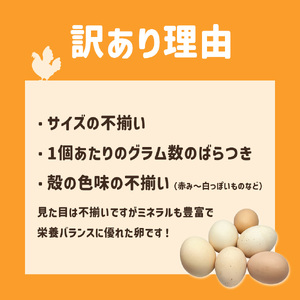 ましくんの完全放し飼い土佐ジローの卵 12個入り 【R01216】