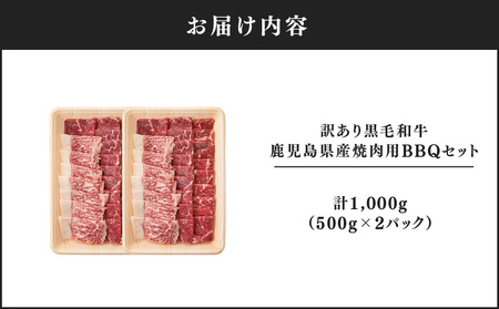 2617 訳あり黒毛和牛 鹿児島県産焼肉用BBQセット 計1,000g（500g×2パック） KN041-003-01 肉 牛肉 冷凍
