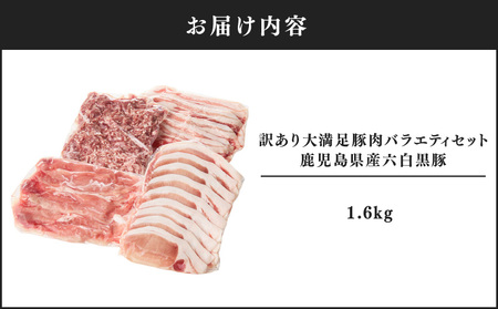 2620 訳あり 大満足 豚肉 バラエティセット 1.6kg 鹿児島県産六白黒豚 KN041-011 肉 冷凍