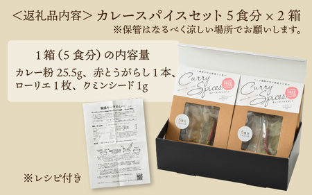ハーブ講師が作る 教室で人気のカレースパイスセット （5食分 × 2箱） 【アレルゲンフリー】 【スパイス スパイスカレー スパイスセット カレーパウダー おうちカレー カレー粉 香辛料 セット 手作り キット 薬膳カレー スープカレー ギフト】 [A-13004]