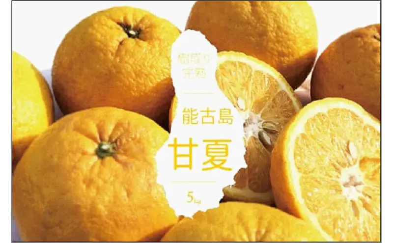 福岡県 能古島産 甘夏5kg | フルーツ 柑橘 かんきつ みかん ミカン 蜜柑 あまなつ 食品 おすすめ 送料無料