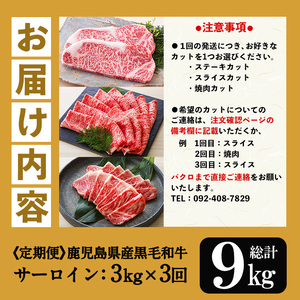 【3か月定期便】カットを選べる！鹿児島県産 黒毛和牛 サーロイン 半頭分 9kg（3kg×3回)  A4等級以上 定期便【00-030-17-TK】