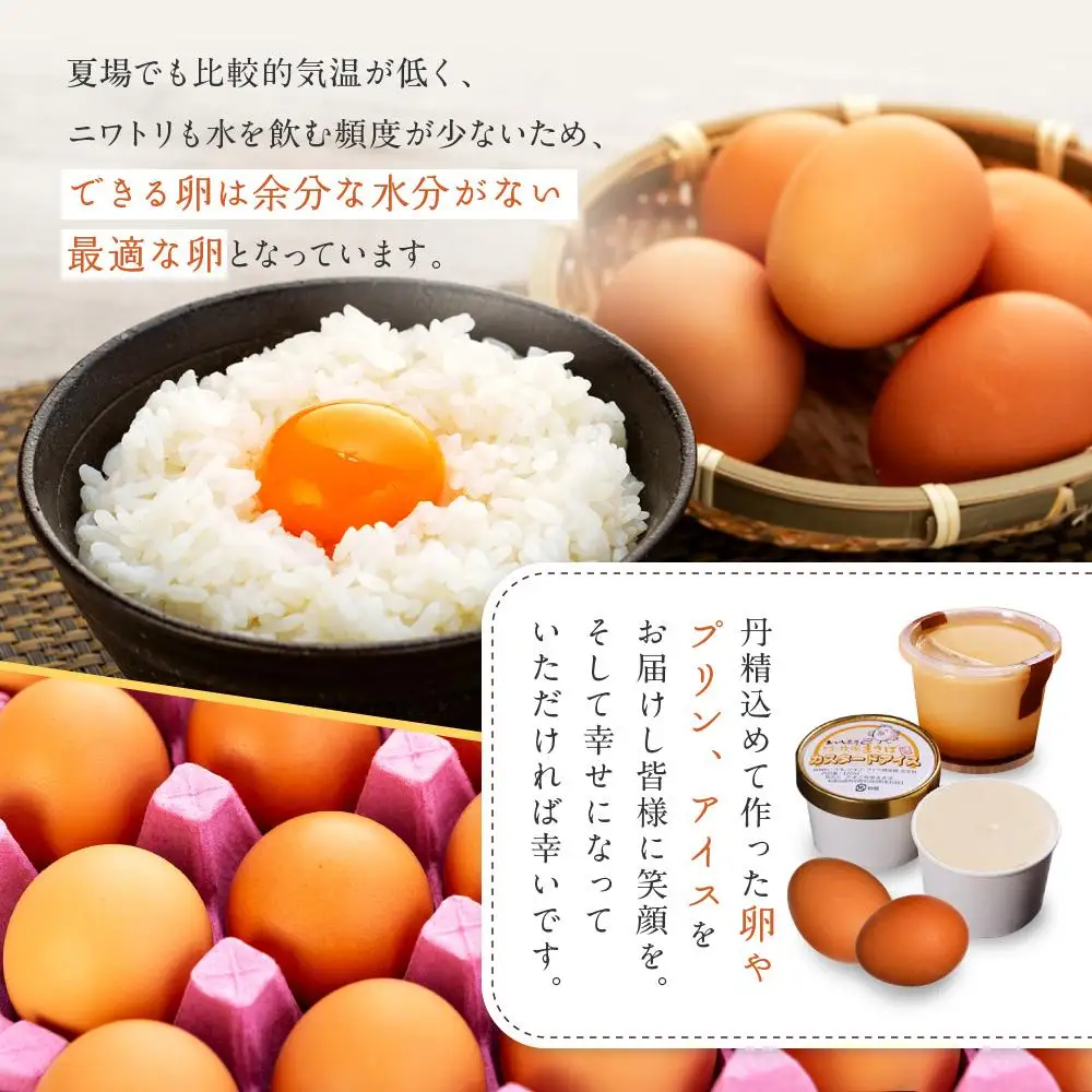 6か月定期便 おいし高原 庭さき卵 Lサイズ 20個入り 【全6回お届け】