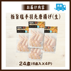 【手羽先サミット殿堂入り！】極旨塩 手羽先 唐揚げ 24本（国産 鶏肉 手羽 手羽先 唐揚げ 塩 味付き 限定 冷凍）