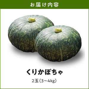 【 2026年 先行予約 】 くりかぼちゃ 2玉 C062-003-01 野菜 かぼちゃ カボチャ 南瓜