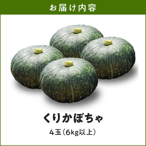 【 2026年 先行予約 】 くりかぼちゃ 4玉 （ 6kg以上 ） C062-003-02 野菜 かぼちゃ カボチャ 南瓜