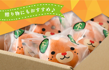 冷凍みかん（16個入り）【V001820】