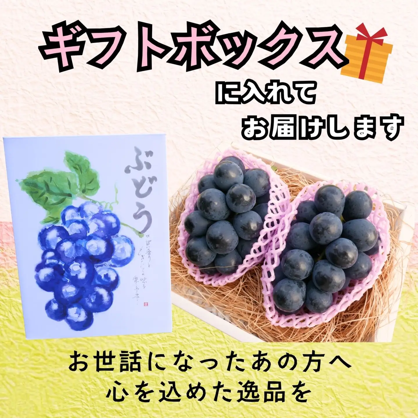 ぶどう ナガノパープル 2房 1kg 【2026年10月発送】ブドウ Bv-001