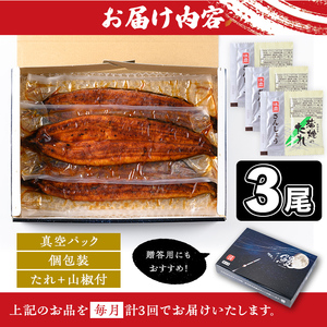 【E57004】＜定期便・計3回(連続)＞うなぎ蒲焼・大(有頭)(3尾・計480g以上×3回、タレ、山椒付)鹿児島 国産 鰻 うなぎ ウナギ 蒲焼き うな丼 うな重 ひつまぶし 土用の丑の日 真空パック お土産 贈答 ギフト プレゼント【一般社団法人きもつき宇宙協議会】