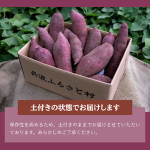 丹波ふるさと村 さつまいも 紅はるか 5kg（サイズ混合・訳あり） さつま芋 サツマイモ Q100