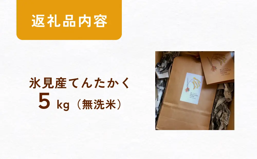 〈無洗米〉 米 令和7年産 富山県氷見産 てんたかく 5kg