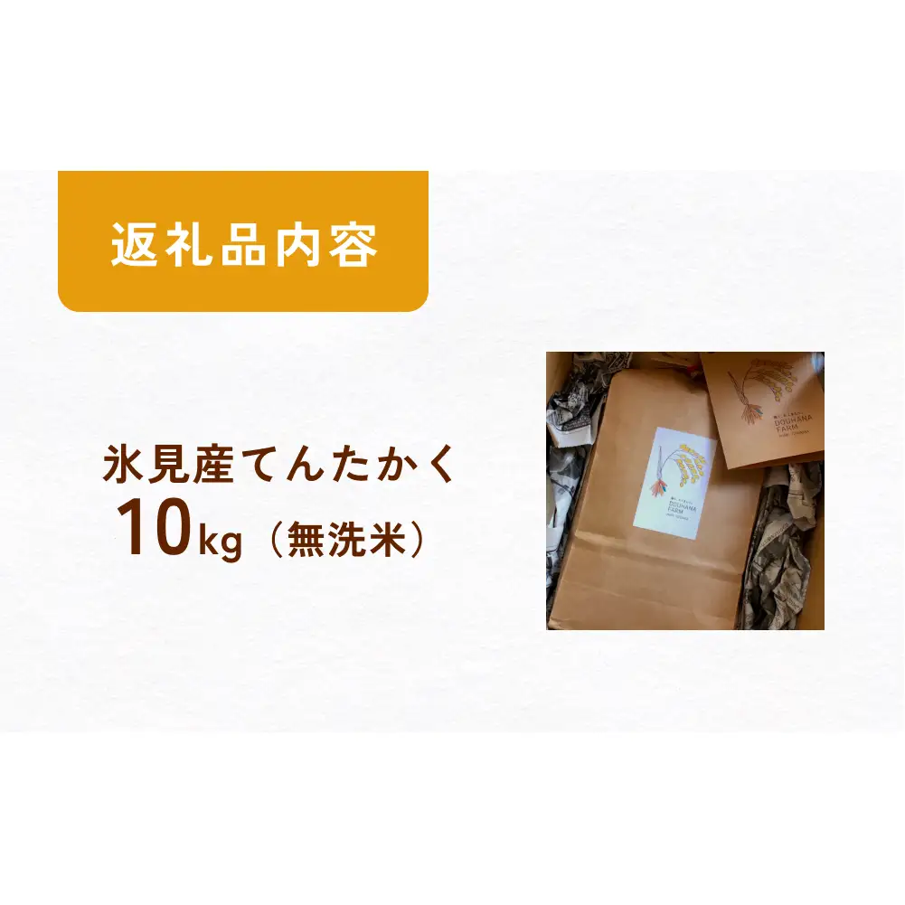 〈無洗米〉 米 令和7年産 富山県氷見産 てんたかく 10kg ｜無洗米