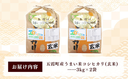 【特別栽培米】五霞町産うまい米コシヒカリ（玄米）6kg ／ 令和7年産 お米 こしひかり 減農薬 減化学肥料 茨城県 認証 取得 健康 環境【価格改定X】