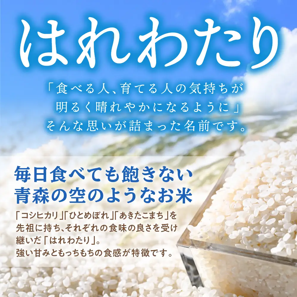 【定期便6ヶ月】 米 5kg はれわたり 青森県産 (精米) 定期便6回 5kg×6回